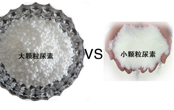 大小尿素之分