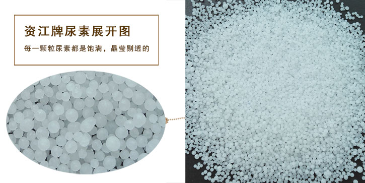尿素生產廠家 尿素生產廠家