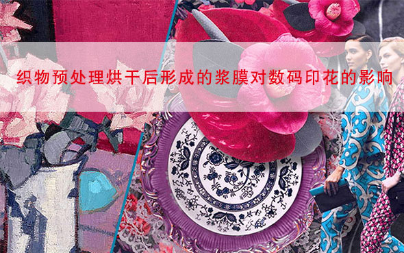 織物預處理烘干后形成的漿膜對數碼印花的影響 織物預處理烘干后形成的漿膜對數碼印花的影響