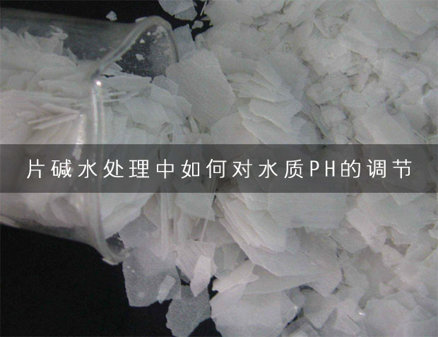 片堿水處理中如何對水質PH的調節