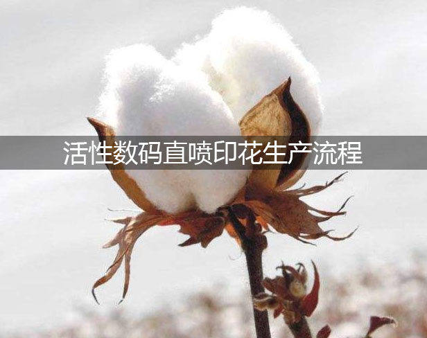 活性數碼直噴印花生產流程
