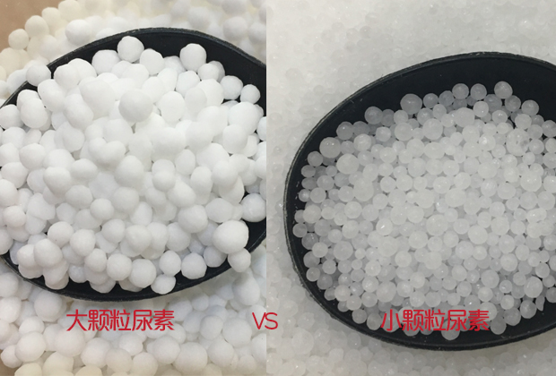 大顆粒和小顆粒尿素哪個好