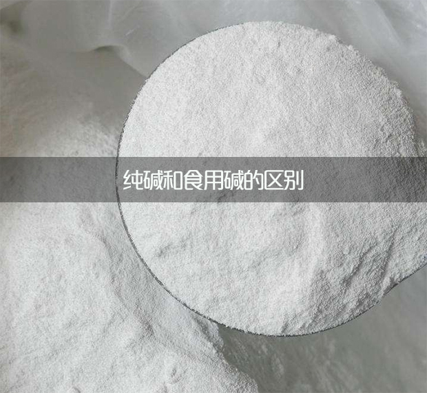 純堿和食用堿的區別