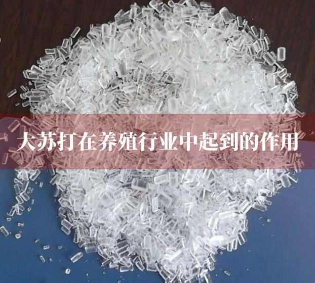 大蘇打在養殖行業中起到的作用